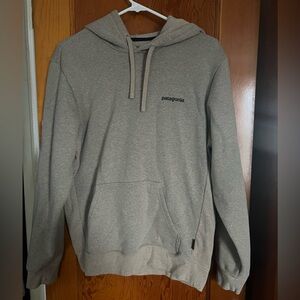 Patagonia Light Gray Men's Hoodie